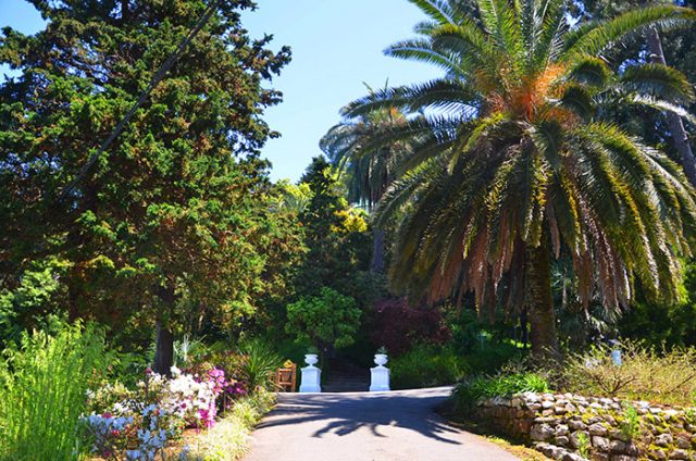 Batumi Botanical Garden