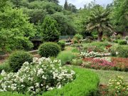 Тбилисский ботанический сад