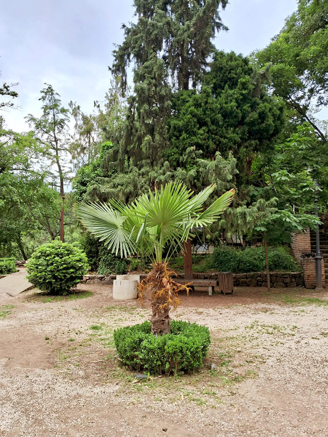 Тбилисский ботанический сад