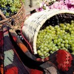 Rtveli – a traditional vintage and rural harvest holiday