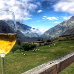 Rtveli – a traditional vintage and rural harvest holiday