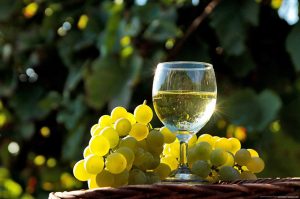 Wine Cellar, wine tours in Georgia