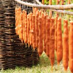 Churchkhela – traditional Georgian national delicacy