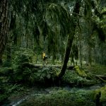 Borjomi-Kharagauli National Park