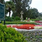 Batumi Botanical Garden