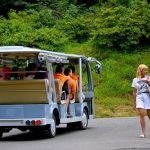 Batumi Botanical Garden