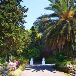 Batumi Botanical Garden