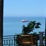 Batumi Botanical Garden