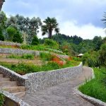 Batumi Botanical Garden