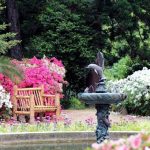 Batumi Botanical Garden