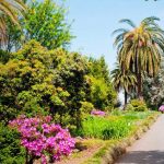 Batumi Botanical Garden