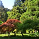 Batumi Botanical Garden