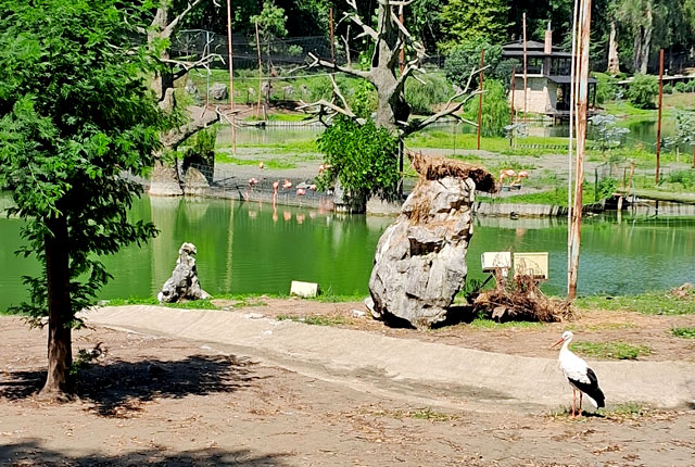 Shekvetili Dendrological Park. 8-Day Georgia Trip